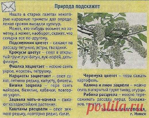 Природные подсказки.