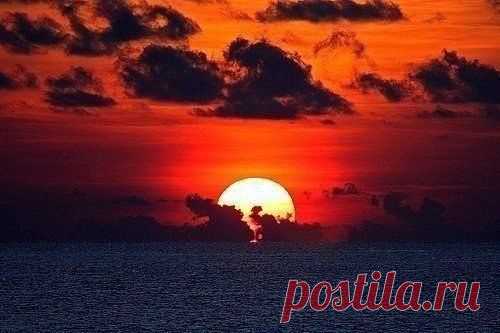 (59) Одноклассники