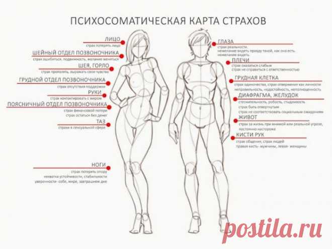Тело помнит все: где спрятались переживания