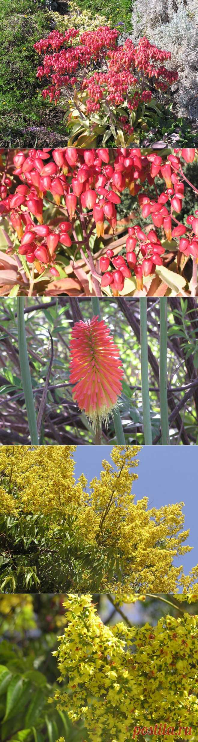 FloraK