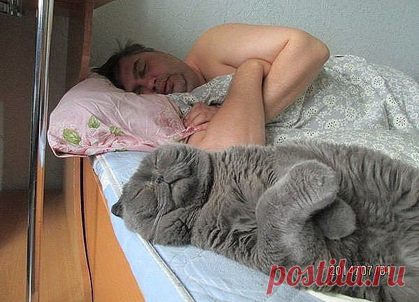 ...люблю ИХ))))