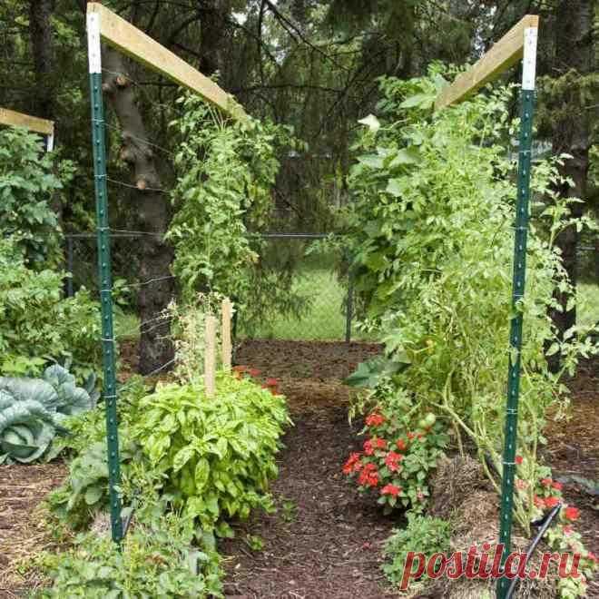 Как вырастить овощи на соломе?