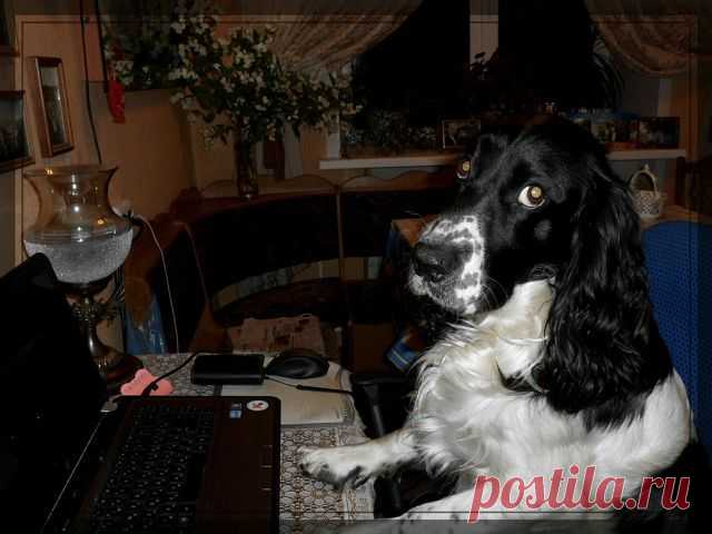 НУ КТО ОПЯТЬ НА МОЕЙ СТРАНИЦЕ ЛАЗИЛ?