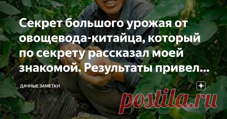 Секрет большого урожая от овощевода-китайца, который по секрету рассказал моей знакомой. Результаты привели меня в шок.  Здравствуйте, уважаемые читатели 👋  Моей знакомой посчастливилось купить участок по соседству с овоще-фермой, которая принадлежит Господину Джану. Долго она присматривалась к его огороду и не переставала удивляться, как у него получается собирать такой большой урожай. К тому же, овощи на его грядках зрели намного быстрее, нежели у нее. Однажды она всё ж...