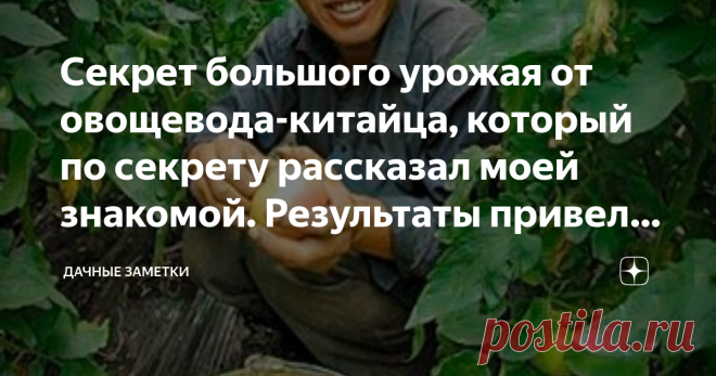 Секрет большого урожая от овощевода-китайца, который по секрету рассказал моей знакомой. Результаты привели меня в шок.  Здравствуйте, уважаемые читатели 👋  Моей знакомой посчастливилось купить участок по соседству с овоще-фермой, которая принадлежит Господину Джану. Долго она присматривалась к его огороду и не переставала удивляться, как у него получается собирать такой большой урожай. К тому же, овощи на его грядках зрели намного быстрее, нежели у нее. Однажды она всё ж...