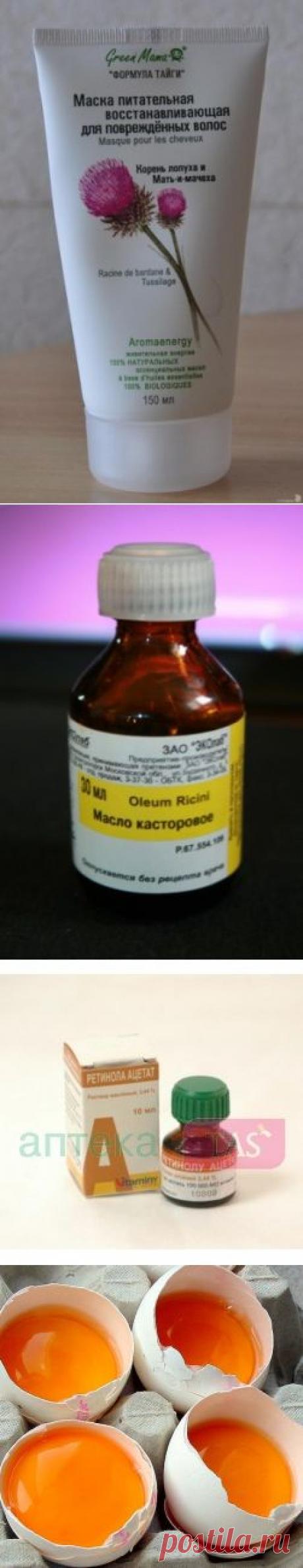 Самый дешевый, но эффективный способ восстановления волос — Отзывы о косметике — Косметиста