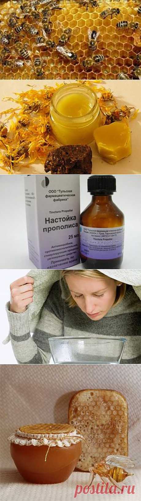 ЧУДОДЕЙСТВЕННЫЕ СВОЙСТВА ПРОПОЛИСА.