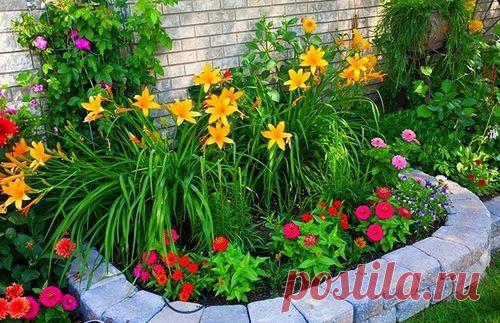 Создание цветника, не хитрые правила. - Садоводка