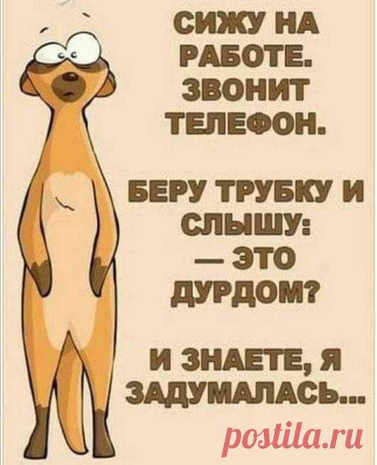 Юмор>Чисто женское!