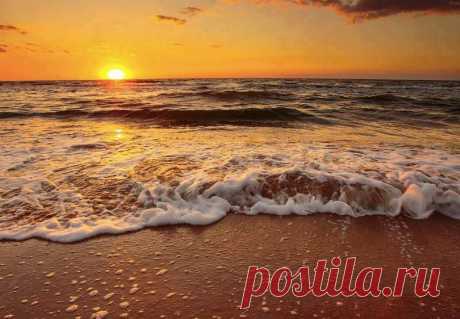 (6) Facebook