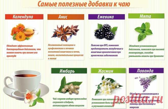 Изображение: Восстановление обмена веществ в организме народными средствами ... Найдено в Google. Источник: ufkis33.ru.