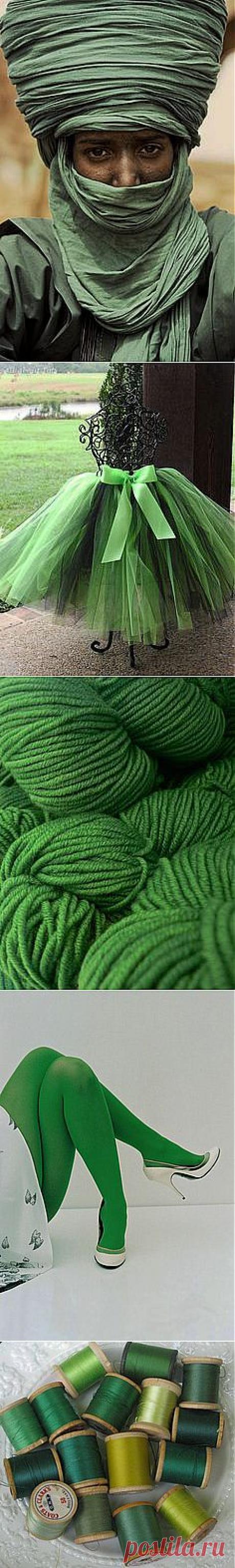 green web | Windows to the Soul