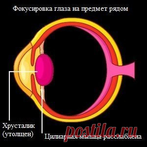 Зрение при стрессе - МирТесен