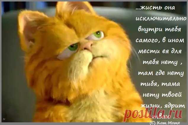 Блог Кота Моти. 
...люди категорикчески не хотят включать моск, вот категорикчески отказуюцца сие делать и убийства и теракты будут иметь смысл и дальше и сие я не про Россию, я пр весь наш шарик .