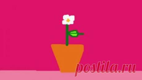 Мир растений - кроссворд - Детские видеоклипы