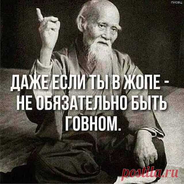 Ух ты, ну как же всё в точку! Кто со мной согласен? / Писец - приколы интернета