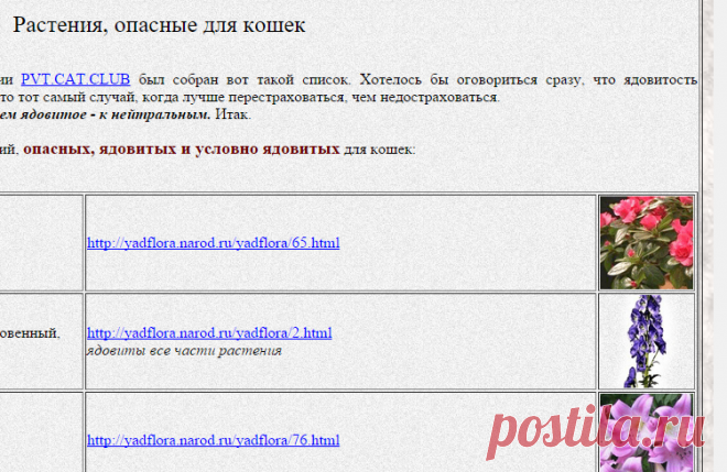 Растения, опасные для кошек