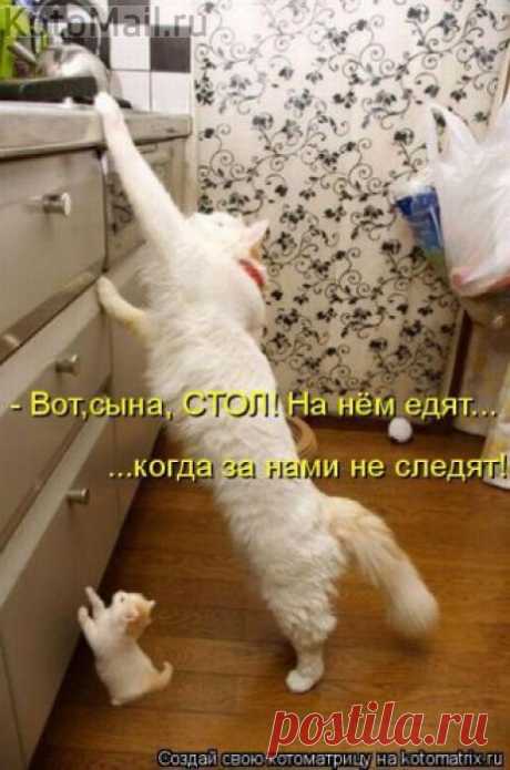 Мама плохому не научит.