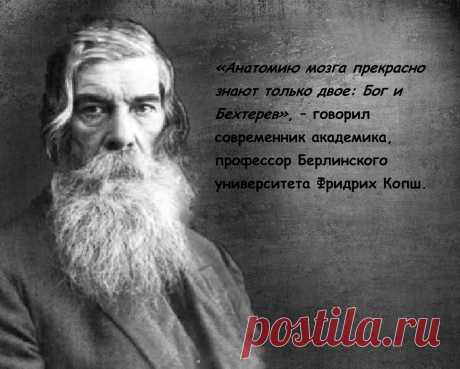 «Сохранить на дорогах жизни разум дано лишь 20% людей». Бехтерев о 5 признаках угасания памяти и живости ума. Как предотвратить | Просто Жить | Яндекс Дзен