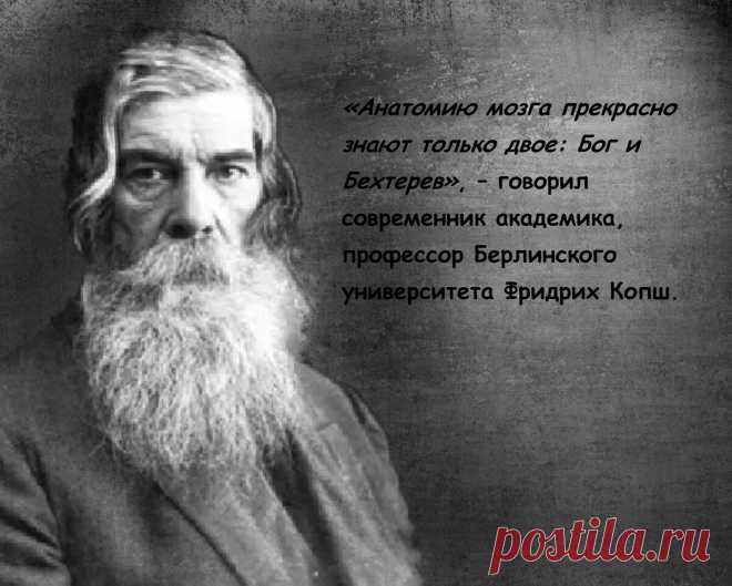 «Сохранить на дорогах жизни разум дано лишь 20% людей». Бехтерев о 5 признаках угасания памяти и живости ума. Как предотвратить | Просто Жить | Яндекс Дзен