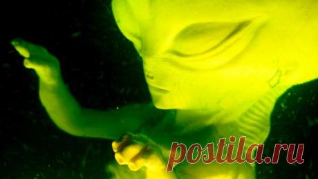 Ученый перед смертью показал  инопланетян | РЕН ТВ