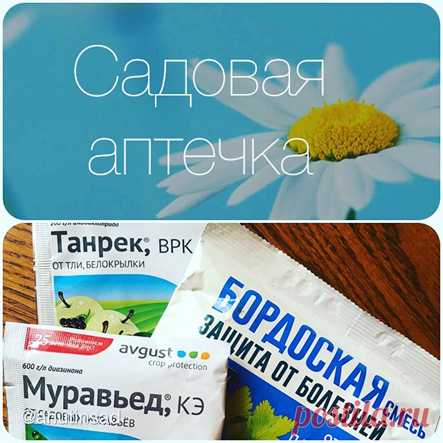Пока лунный календарь🌝 на ближайшие 3️⃣дня категорически не рекомендует⛔️сеять, сажать и пересаживать, да и спина напоминает о вчерашнем ударном дне, решила поделиться содержимым своей садовой аптечки✍️
Я ленивый дачник, поэтому хоть и лежит у меня целый арсенал средств, использую только:
.
✅Корневин, всегда лежит с запасом и в разгар сезона его порой не найти. Название говорит само за себя, - это стимулятор корнеобразования. Вот, например, вчера я присыпала им срезы корн...