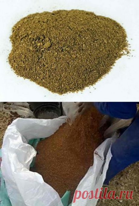 Как применять табачную пыль в борьбе с вредителями | Дача - впрок