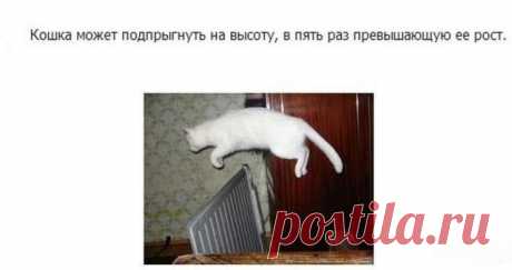 ��������: ���������� � ������ :)