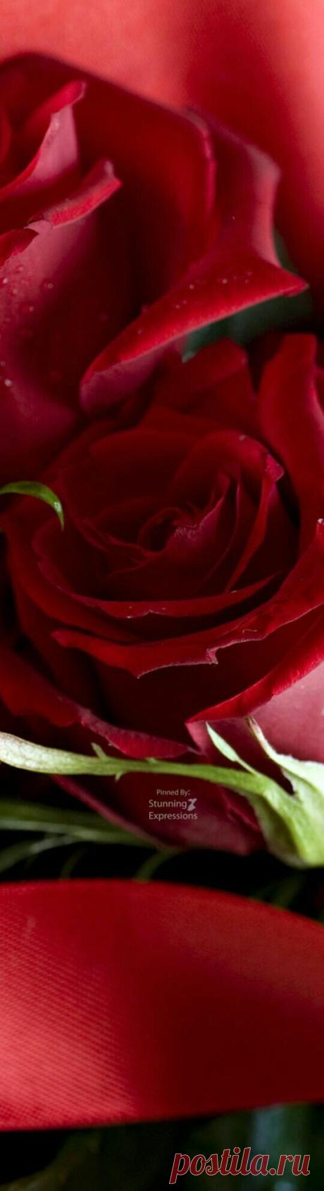 (22) Pinterest