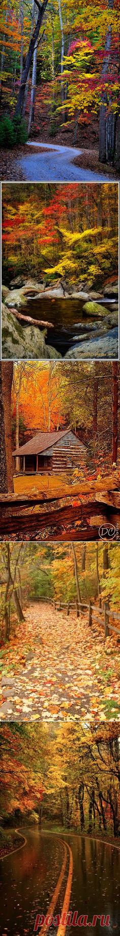 (6) в сети pinterest • каталог мировых идей