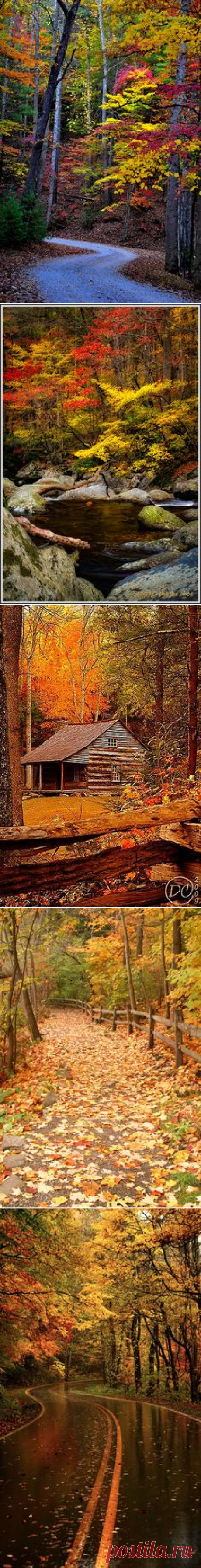 (6) в сети pinterest • каталог мировых идей