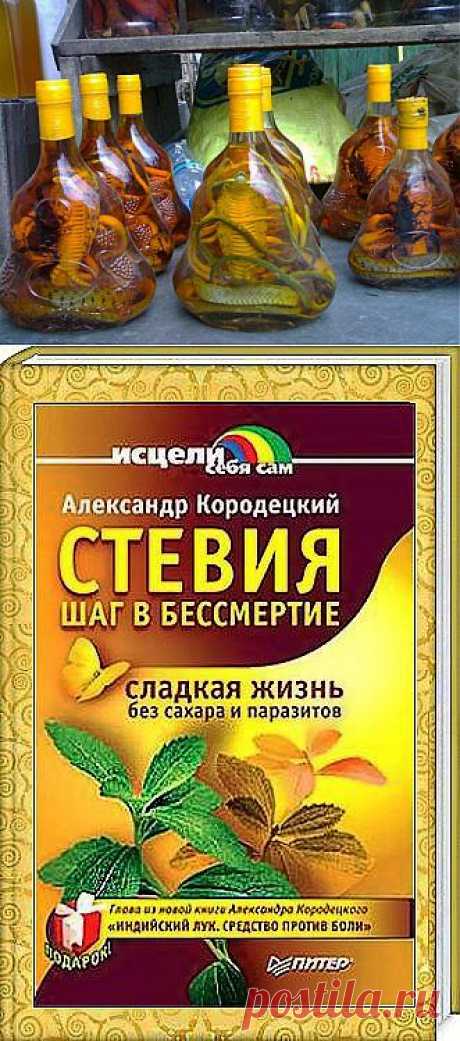Лечебные настои... | Познавательный сайт ,,1000 мелочей&quot;
