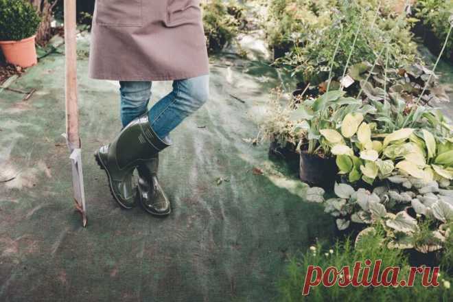 Лунный календарь садовода и огородника 2021 - Дача