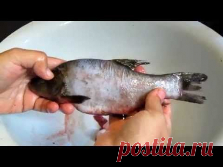 ▶ Семья Бровченко. Как легко почистить рыбу Линь. - YouTube