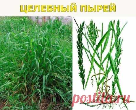 (24) Одноклассники