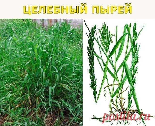 (24) Одноклассники