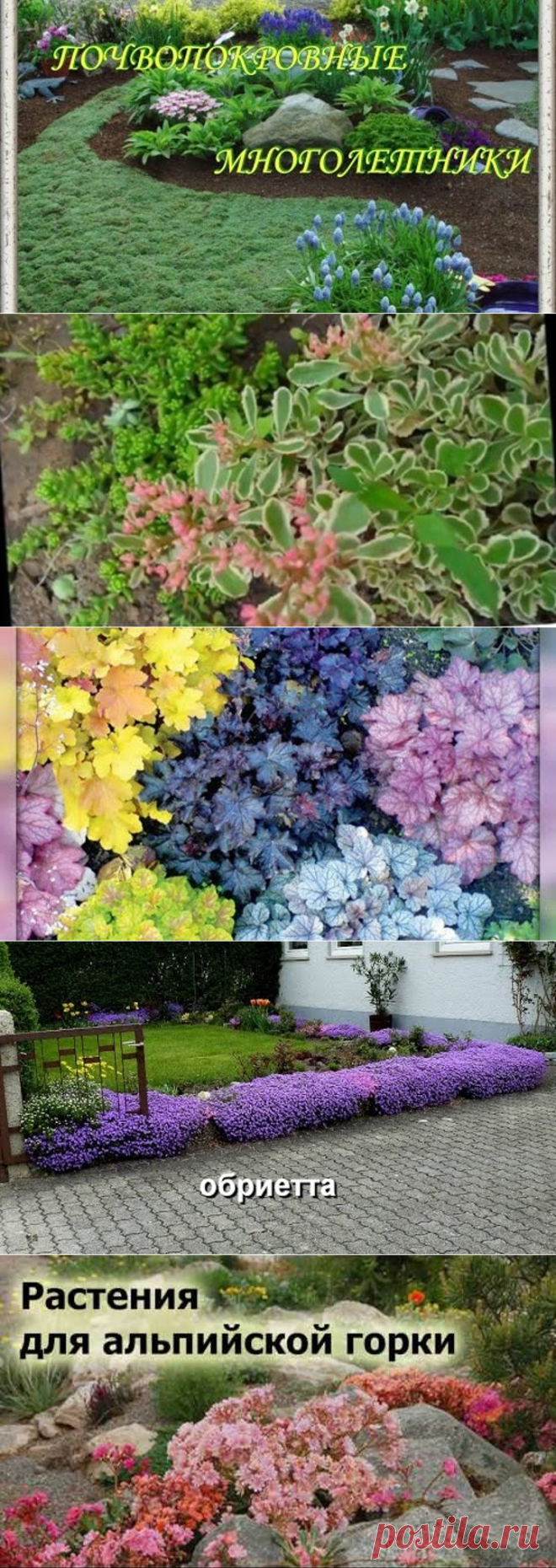 Одноклассники