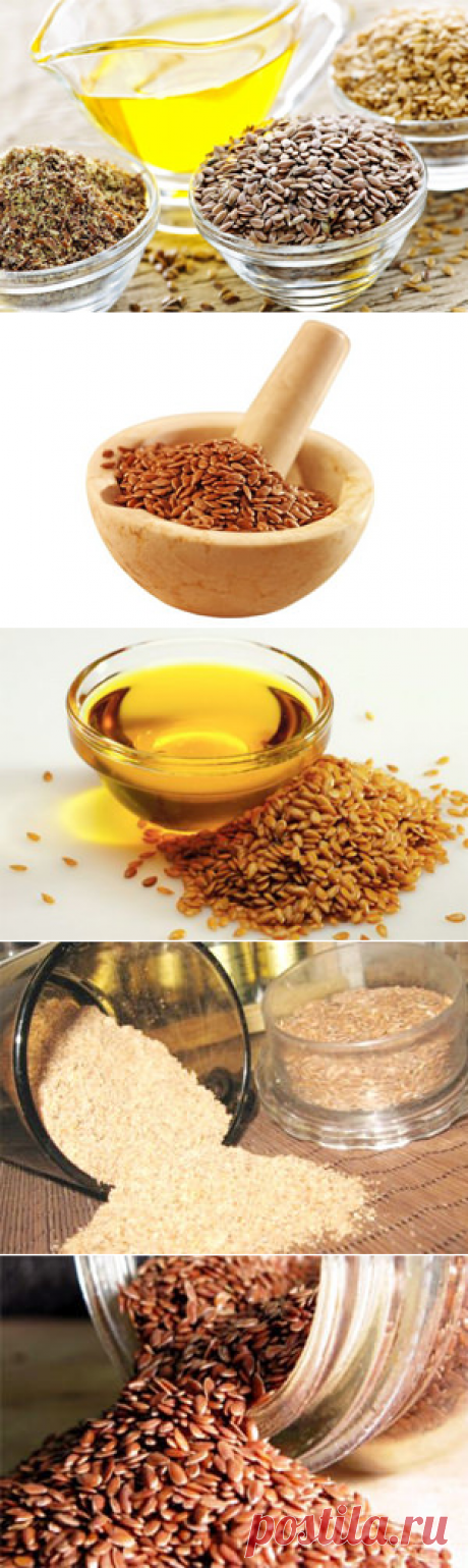 Семена льна - как принимать? Польза и вред семян льна, полезные свойства и противопоказания