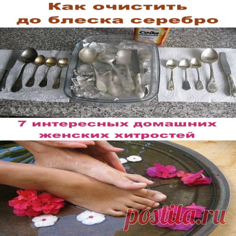 (1) Одноклассники