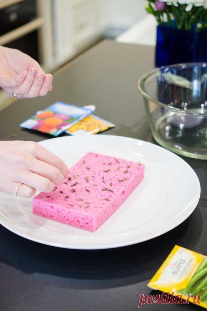 13 Ways to Use a Sponge That You’ve Never Thought of Before! - The Krazy Coupon Lady