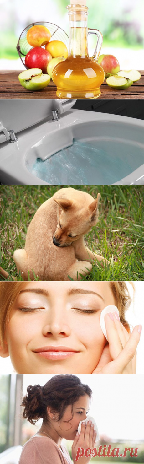 Самые неожиданные способы использования уксуса / Домоседы