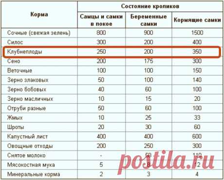 Можно ли кормить кроликов сырой картошкой?