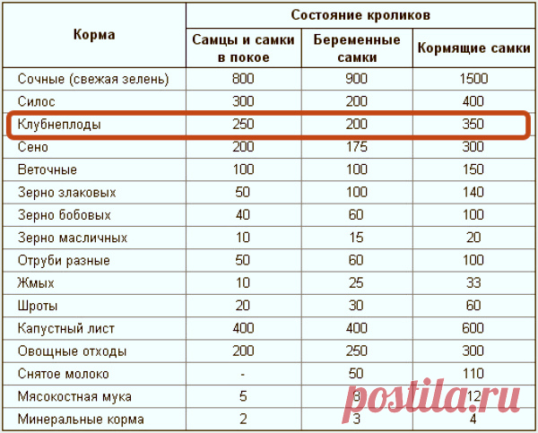 Можно ли кормить кроликов сырой картошкой?