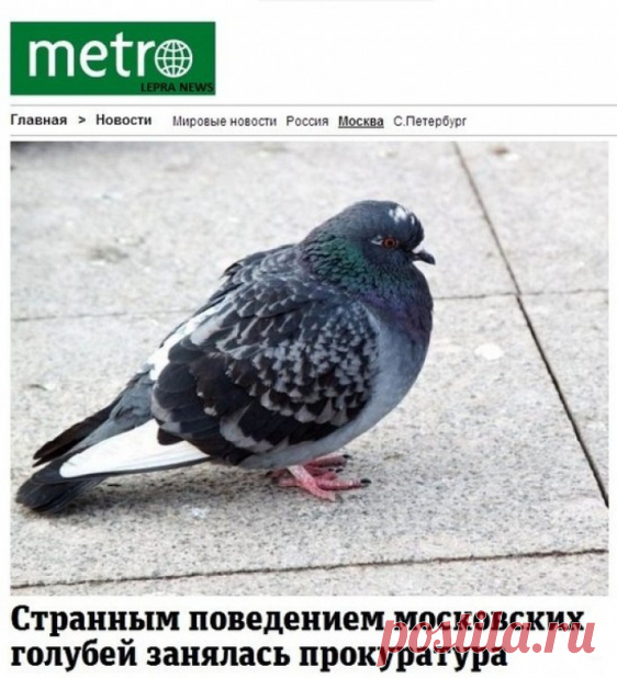 Пуск газа.