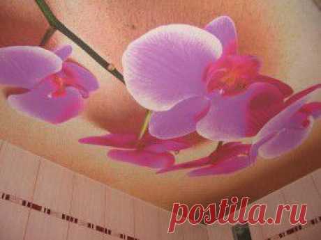 Натяжной потолок. Какие угрозы возникают для натяжного красивого потолка