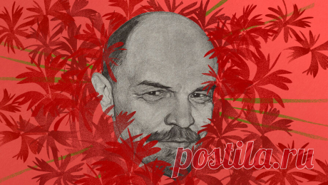Опрошенные россияне рассказали, как относятся к Ленину. Почти каждый второй опрошенный россиянин положительно относится к Владимиру Ленину. Об этом сообщили исследователи ВЦИОМ, которые провели опрос. Исследование провели 30 декабря 2023 года и 17 января 2024 года. Эксперты опросили 1600 ...