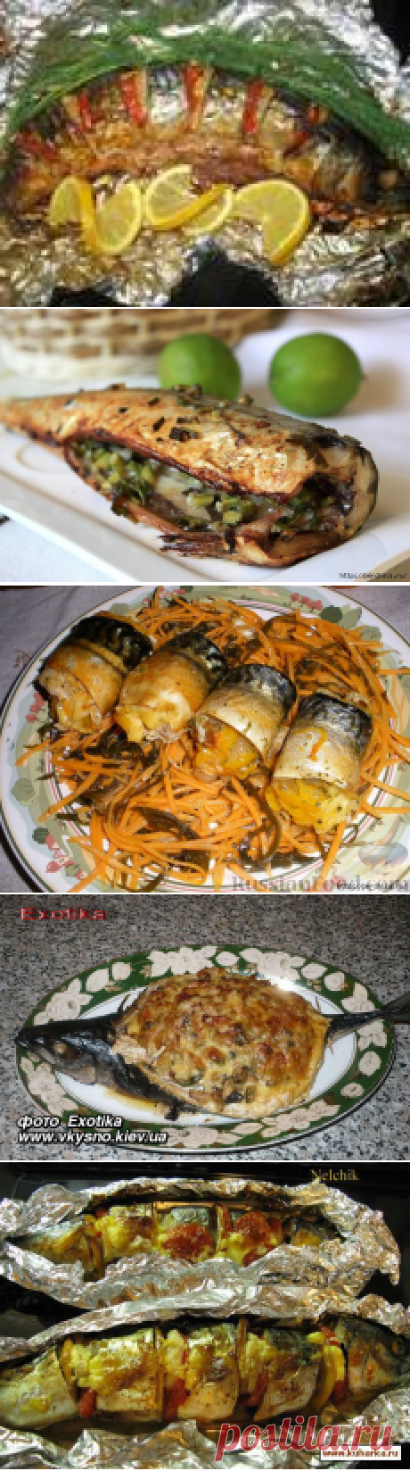 Подборка вкусных блюд из скумбрии