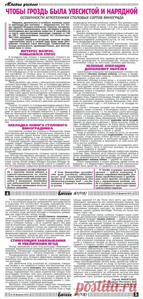 Чтобы гроздь была увесистой и нарядной