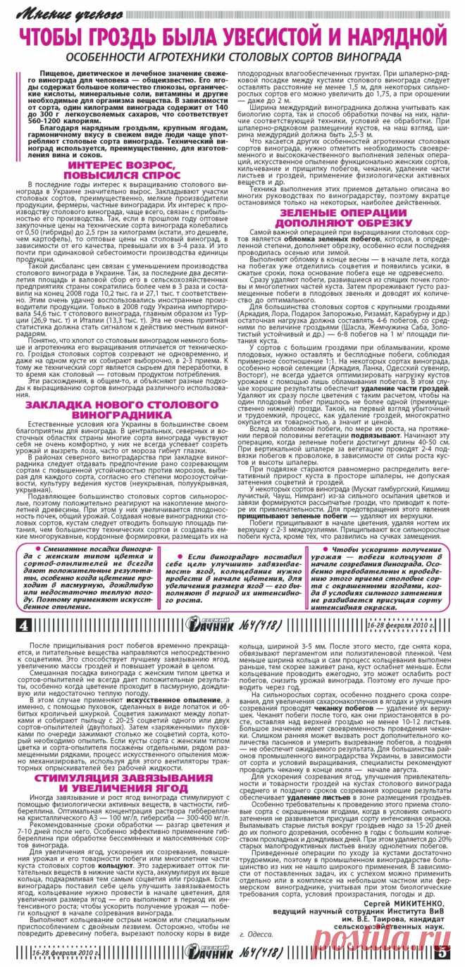 Чтобы гроздь была увесистой и нарядной