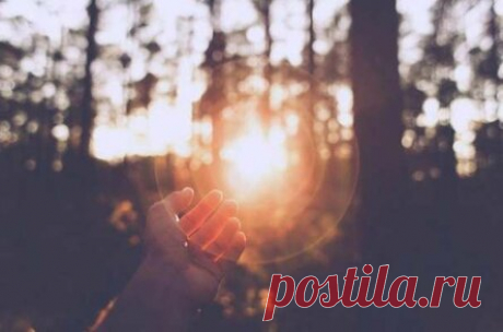 Как повысить мотивацию и заставить себя действовать?